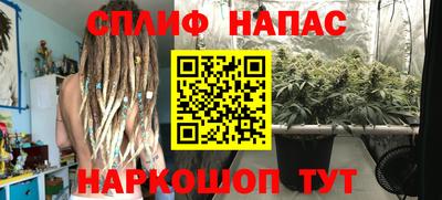 гашик Жуковский