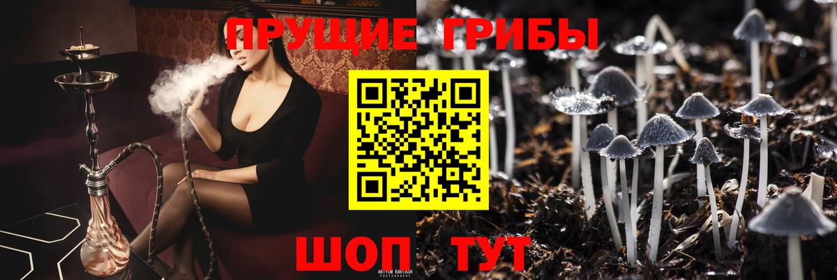 Псилоцибиновые грибы Cubensis  где купить   Кумертау  Вход с VPN 